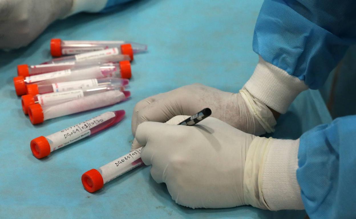 Un sanitario clasifica las muestras de unas pruebas PCR, en una fotografía de archivo.