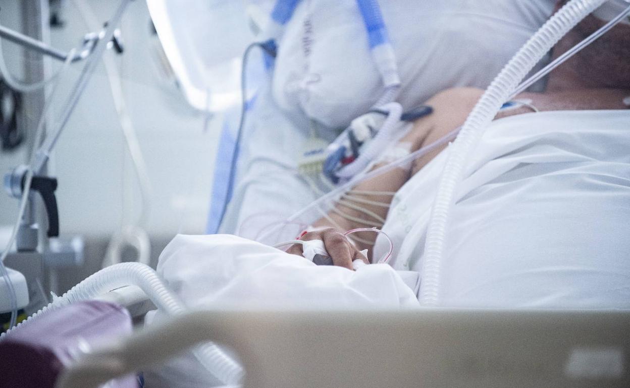 Un paciente en la UCI del hospital Reina Sofía, en Murcia, en una fotografía de archivo.