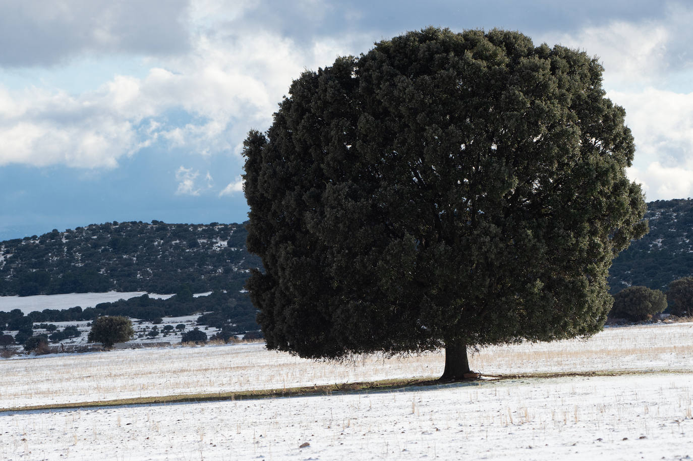 Fotos: El 2021 llega con nieve a Moratalla y Caravaca