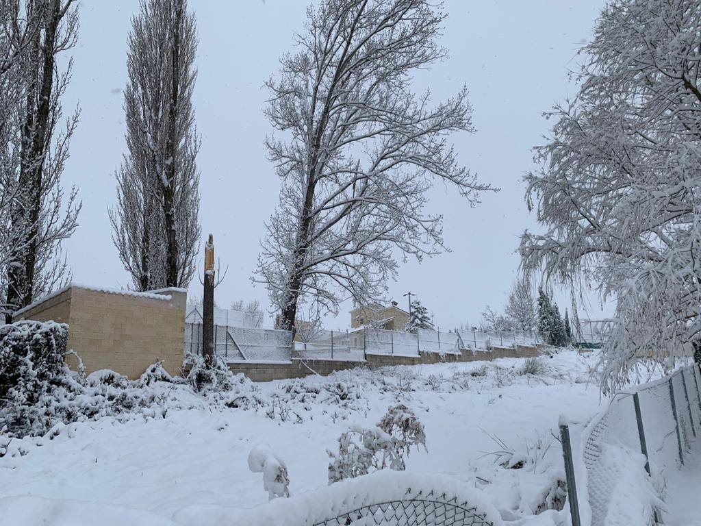 Nieve en Campo de San Juan, Moratalla
