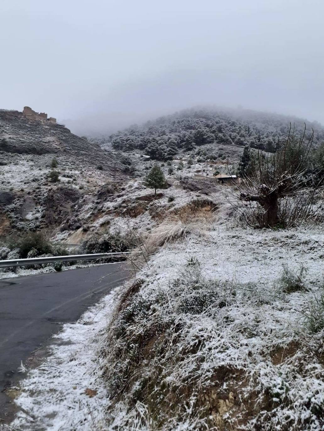 Nieve en la Comarca del Río Mula, Pliego. 