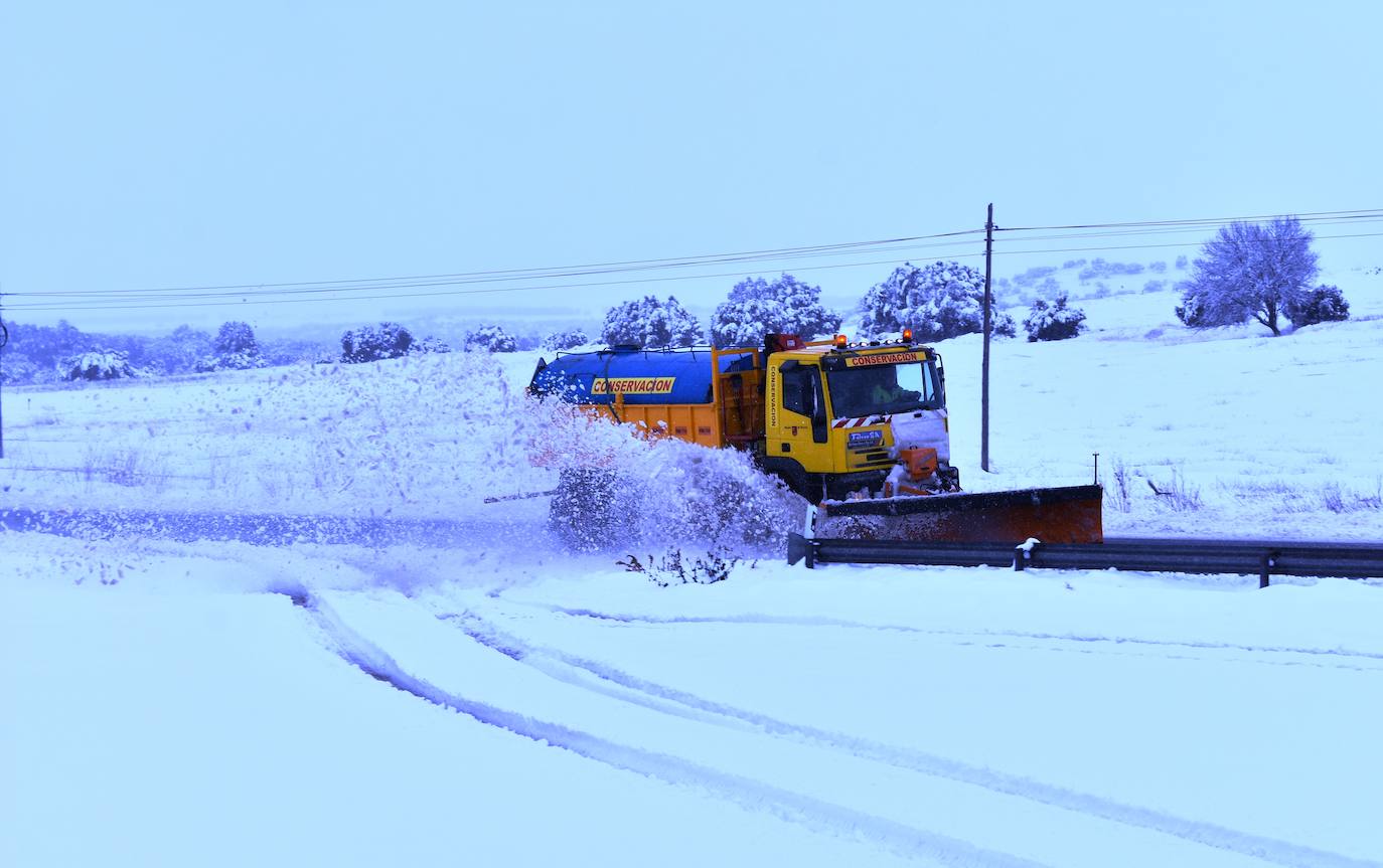 Fotos: La nieve pinta de blanco el Noroeste de la Región de Murcia