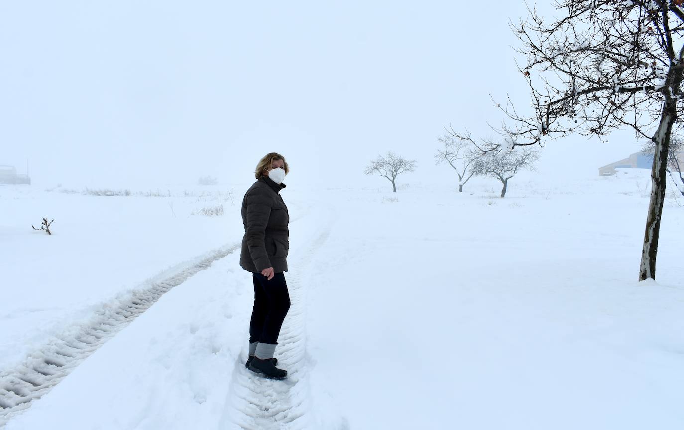 Fotos: La nieve pinta de blanco el Noroeste de la Región de Murcia