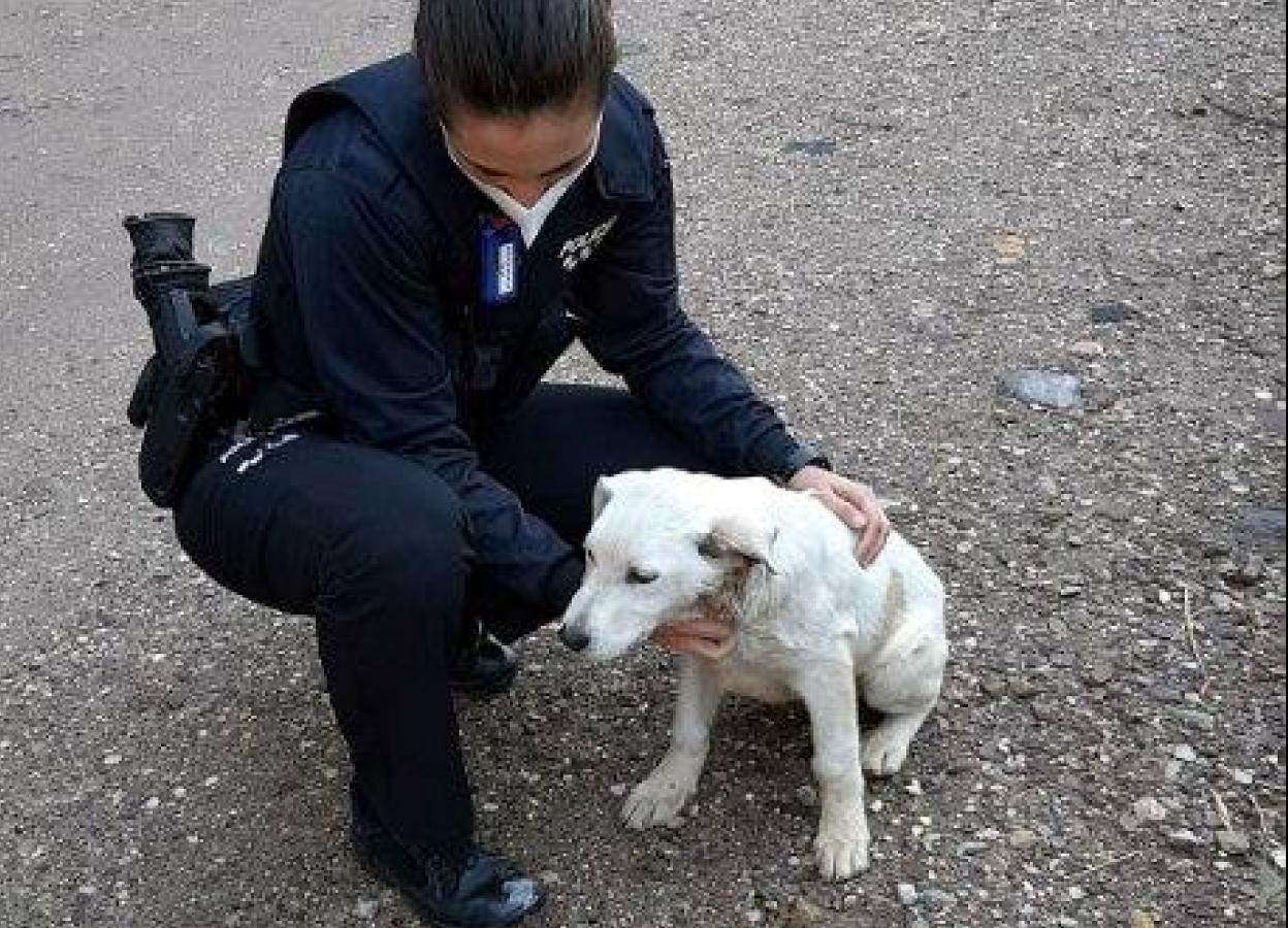 La agente, junto al animal abandonado.