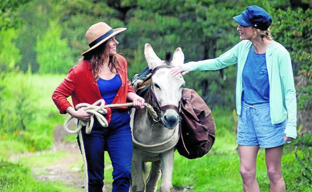 La enamoradiza protagonista comparte vivencias con un terco asno que aporta el toque cómico.