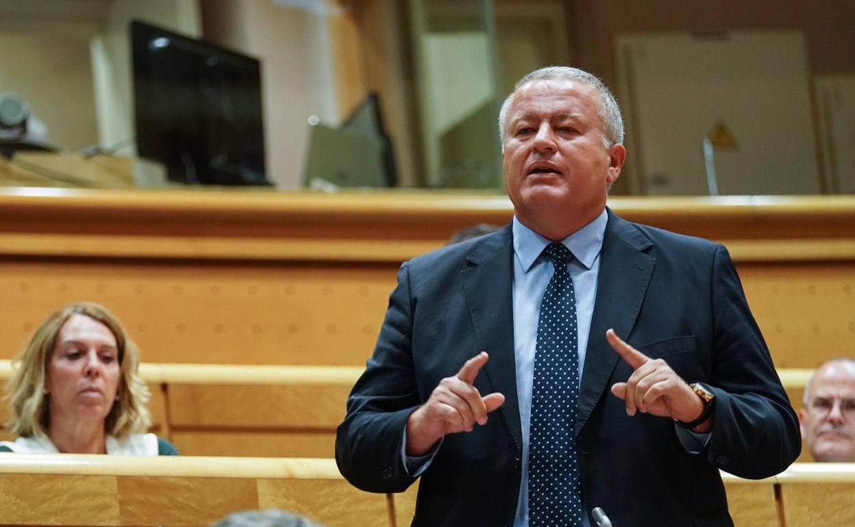 El senador del PP, Francisco Bernabé. 