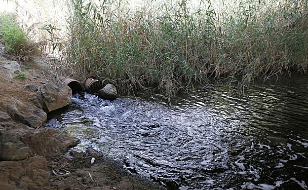 Vertidos de aguas no depuradas a la rambla del Albujón en su desembocadura al Mar Menor. 