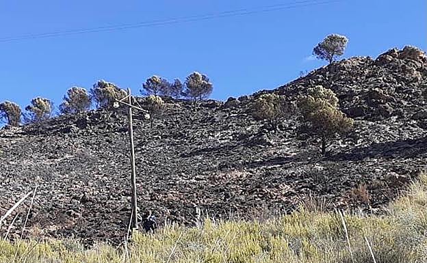 Tendido eléctrico donde, al parecer, pudo haberse originado el incendio.