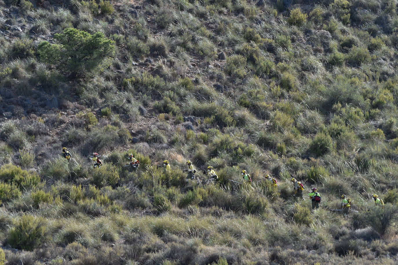 Fotos: Más de un centenar de efectivos trabajan contra el incendio en la sierra de Carrascoy