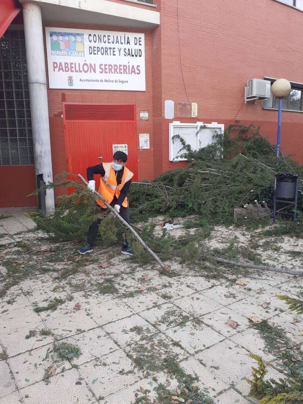 Un árbol caído en la puerta del pabellón Serrerías de Molina. 