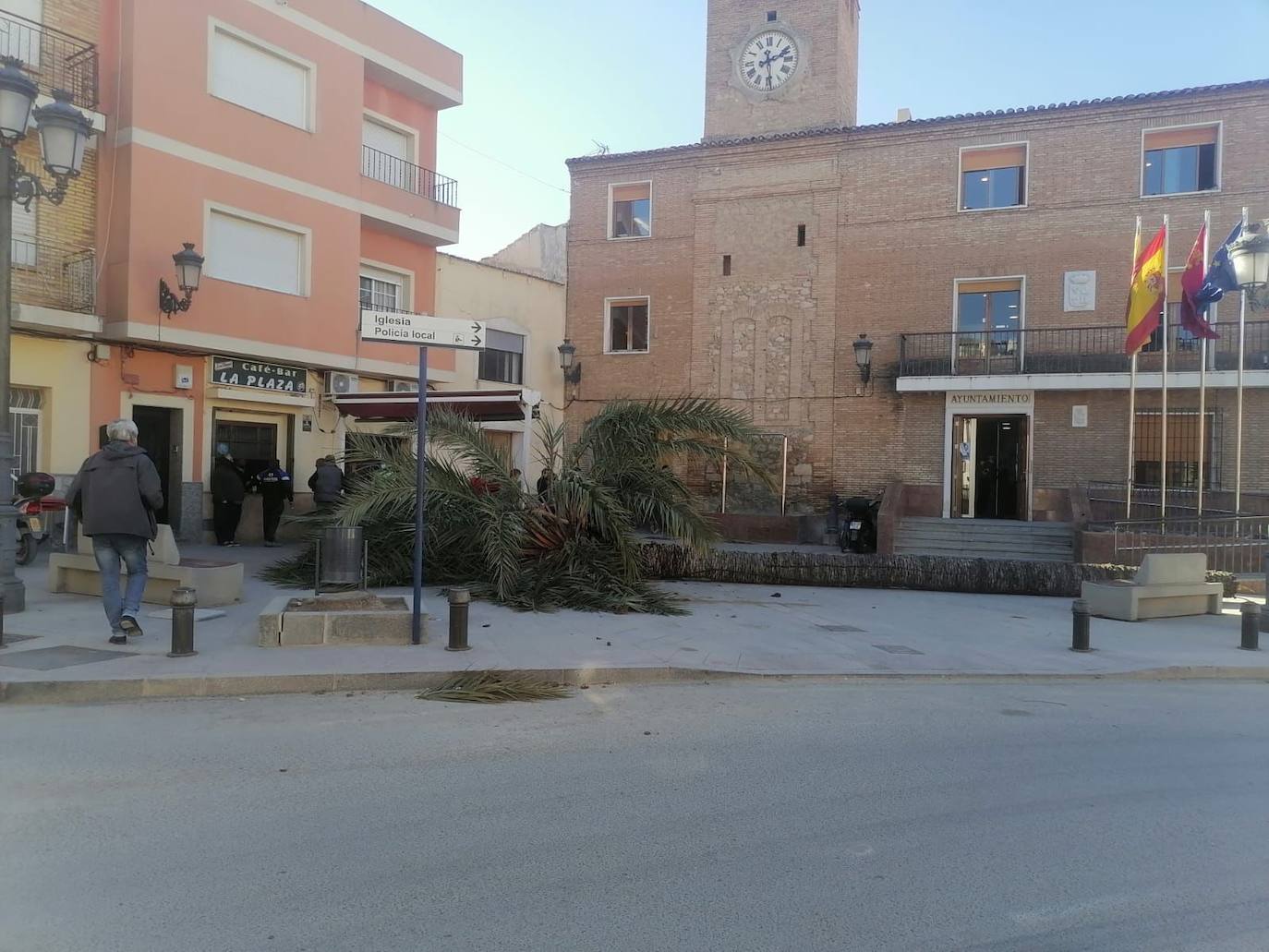 Palmera caída en la puerta del Ayuntamiento de Librilla.