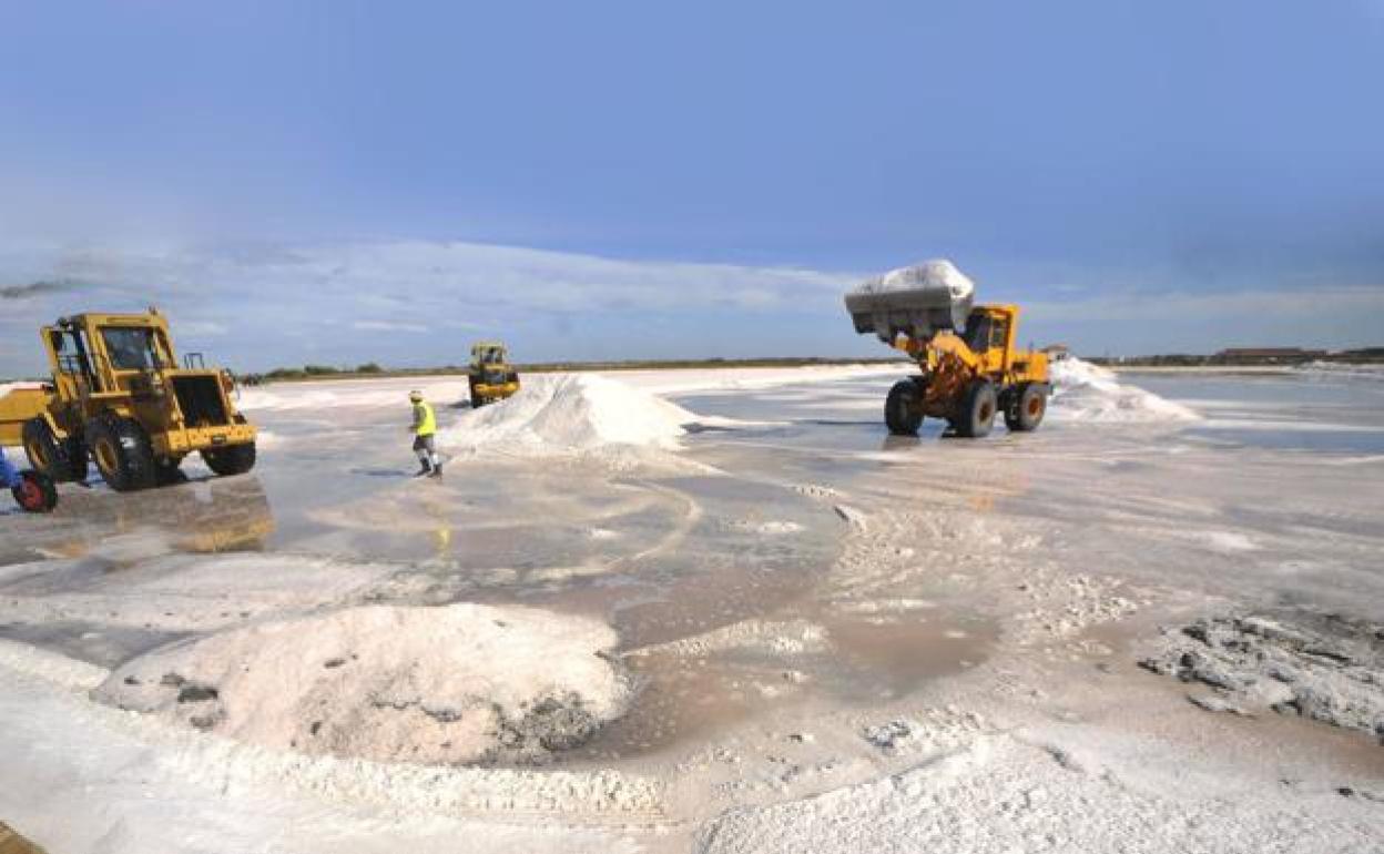 Salinas de San Pedro del Pinatar en una foto de archivo.