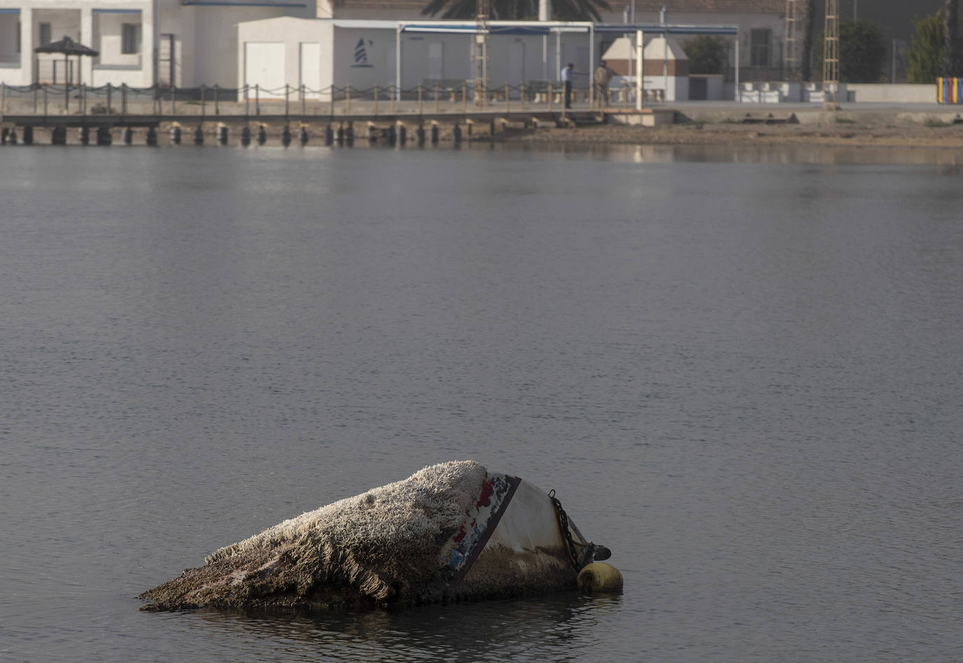 Fotos: Las labores de retirada de embarcaciones varadas o hundidas empiezan en el municipio de Los Alcázares