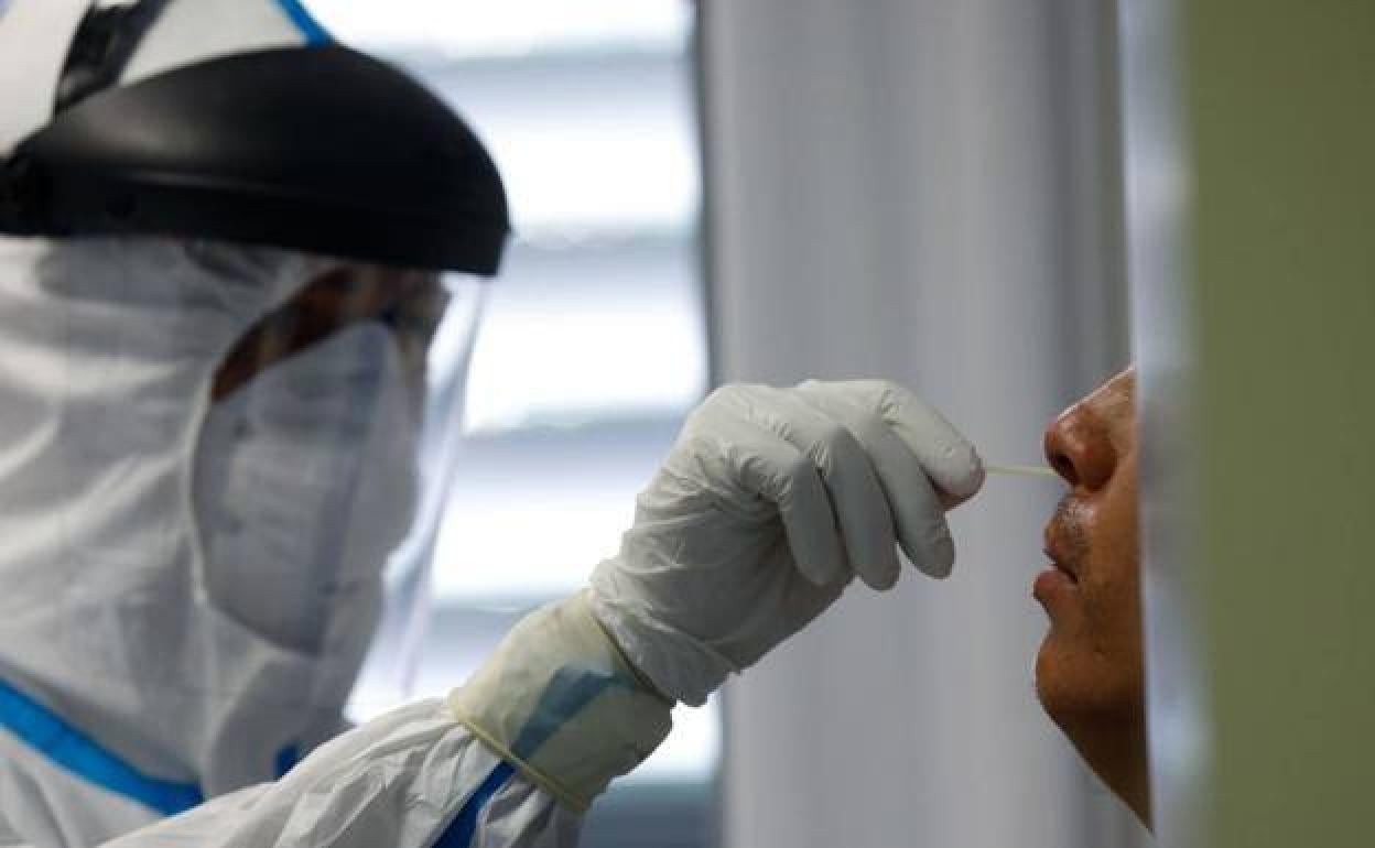 Un sanitario toma una muestra para una prueba PCR, en una fotografía de archivo.