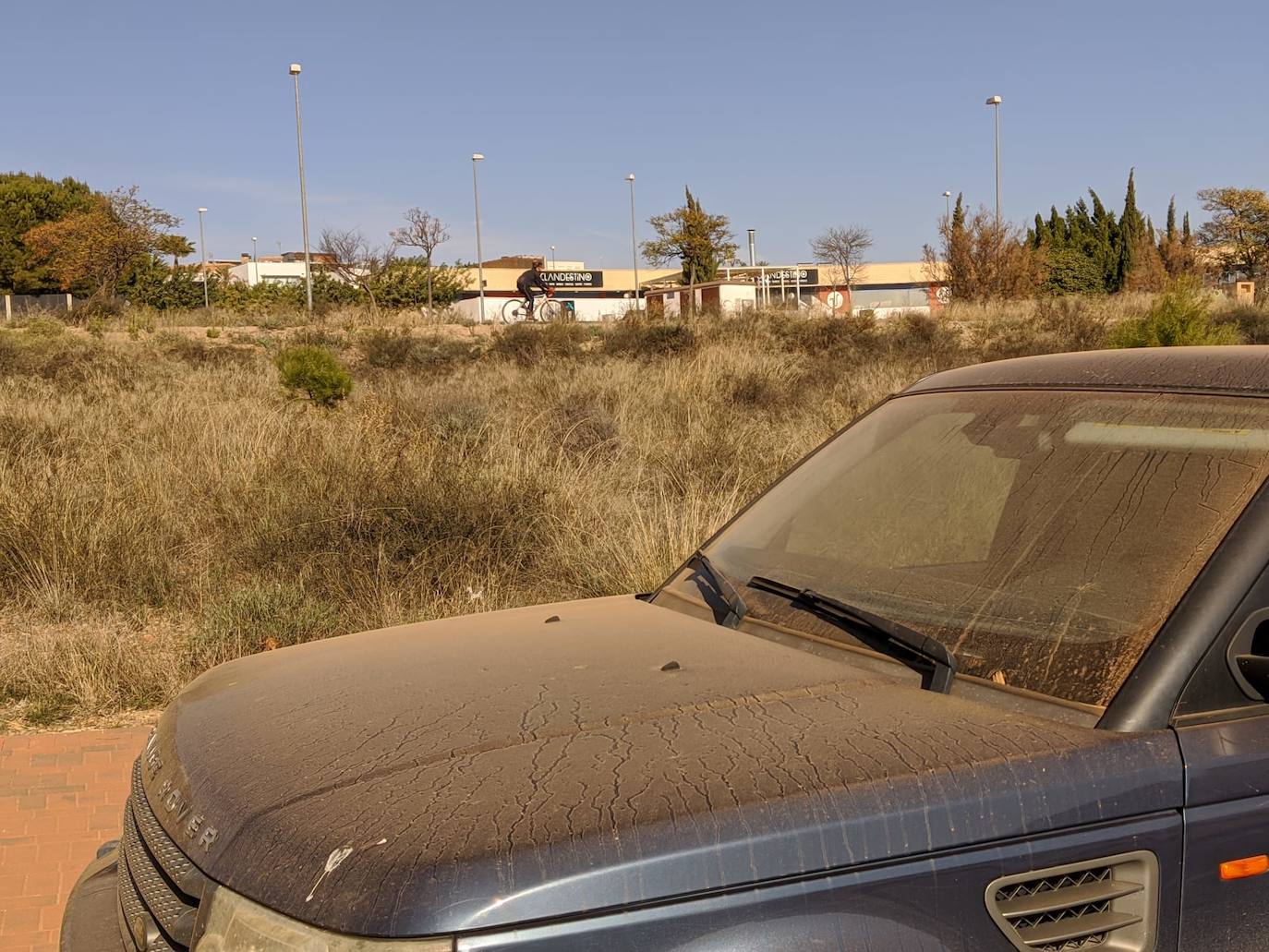 Fotos: El polvo africano cubre coches y calles de la Región de Murcia