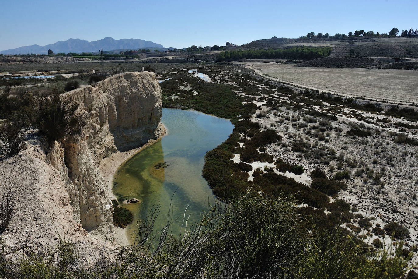 Humedal de Ajauque y Rambla Salada, un cauce hipersalino que ocupa 1.632 hectáreas. 