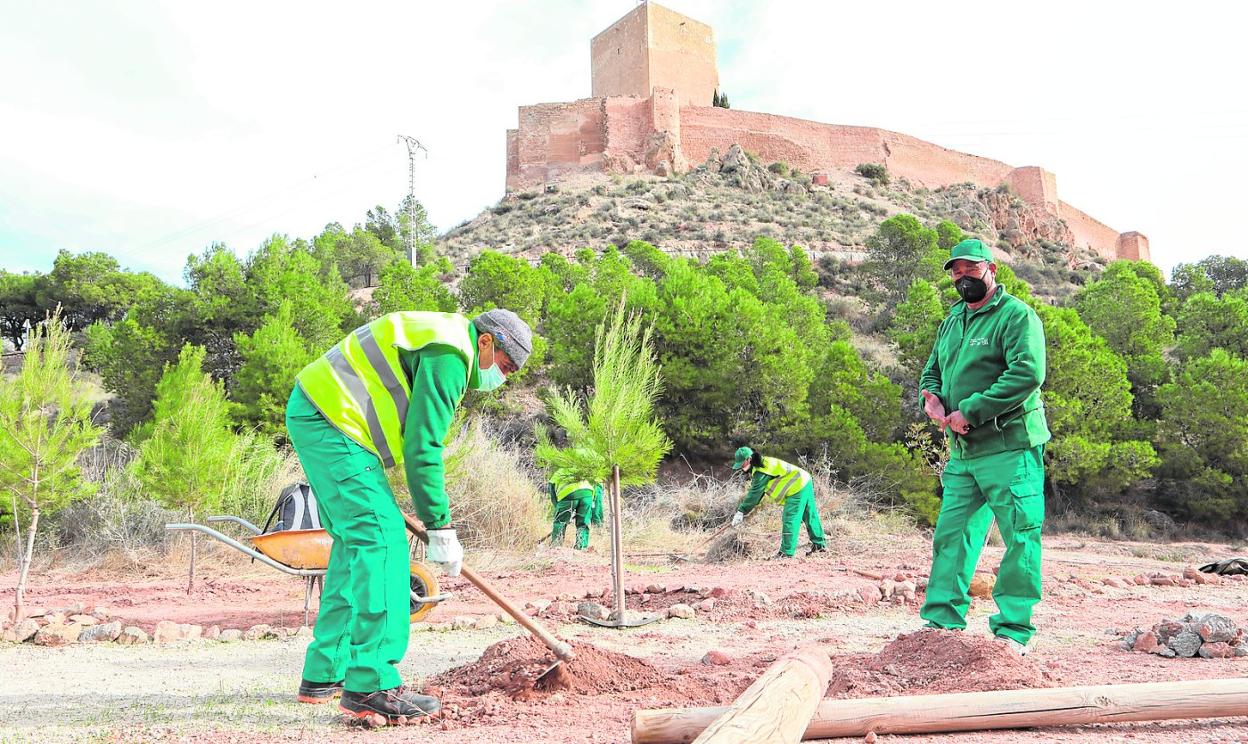 Peones de los consejos comarcales de empleo durante la plantación y desbroce en la zona de Los Pilones, esta semana. 