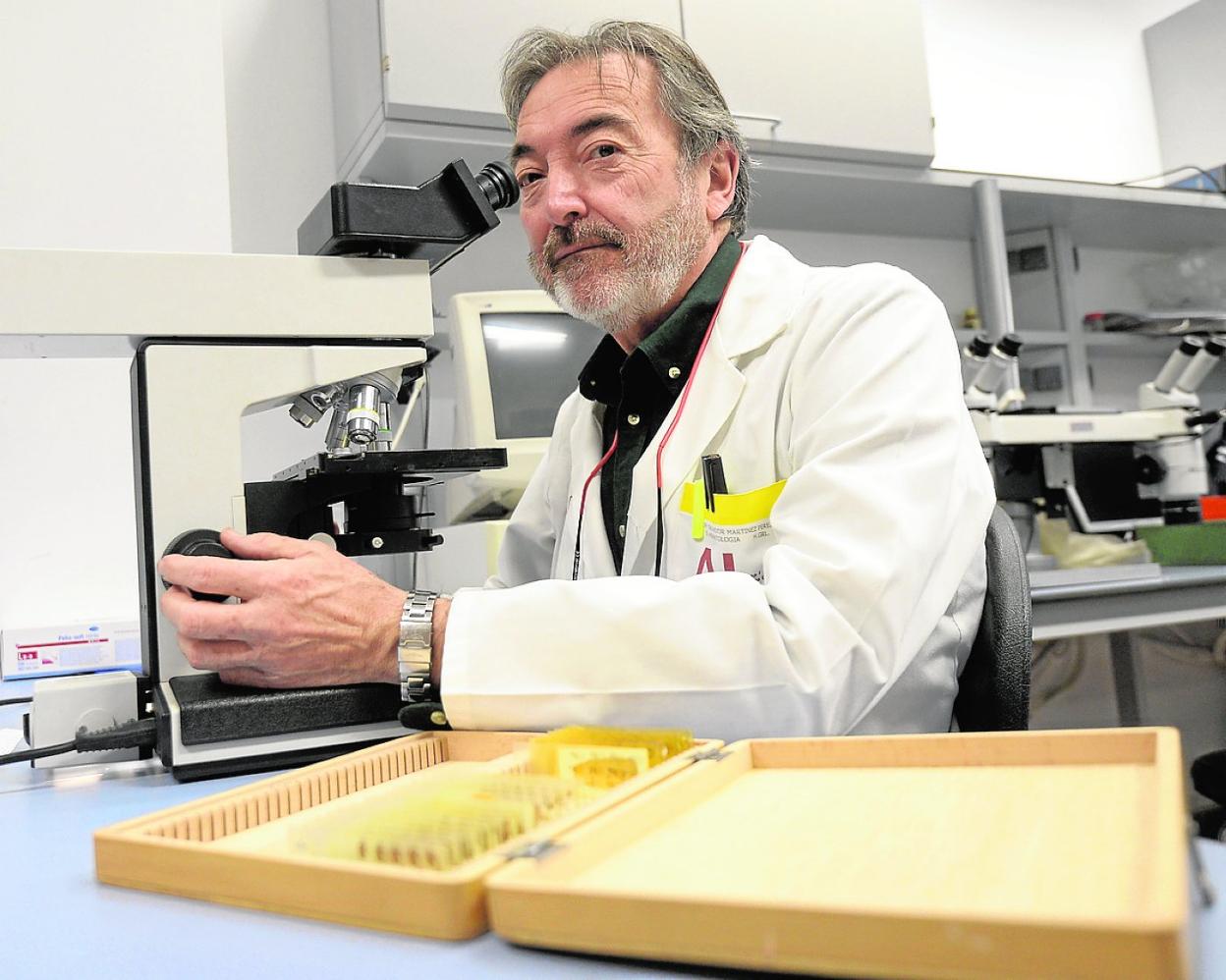 Salvador Martínez, ayer en el laboratorio de su grupo de investigación en el IMIB. 