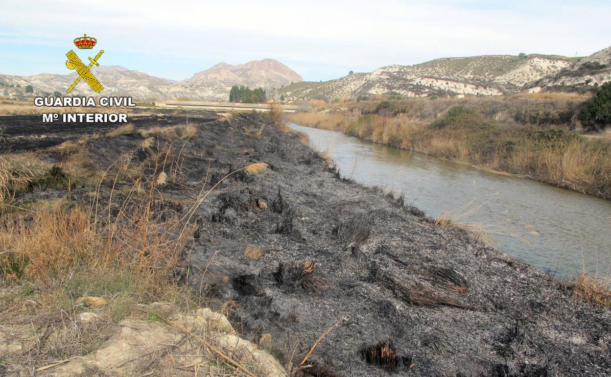 Terreno afectado por el incendio ocurrido junto al río Segura a su paso por la pedanía moratallera del Salmerón.