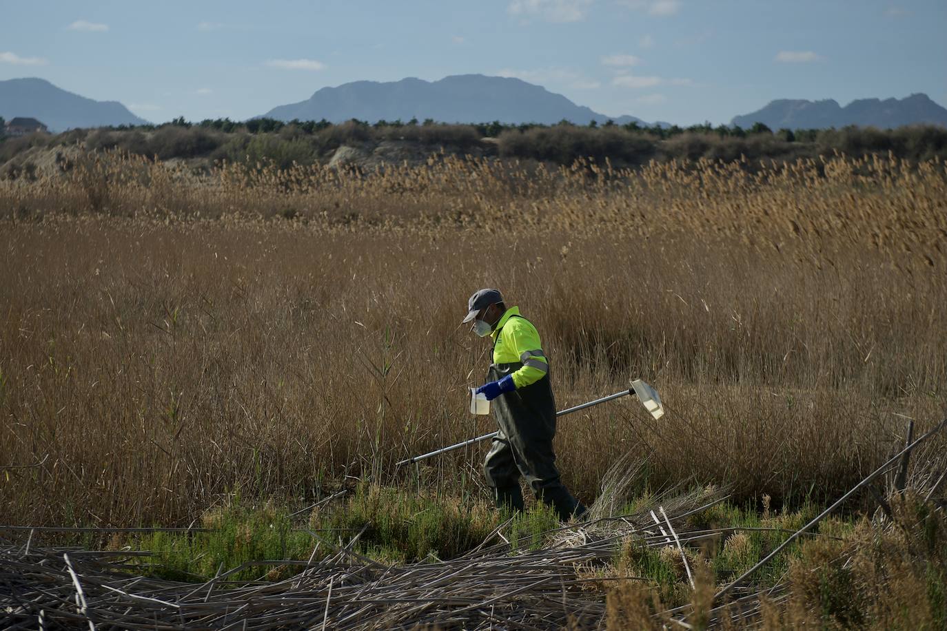 Fotos: La subida de las temperaturas adelanta un mes la fumigación antimosquitos en Murcia