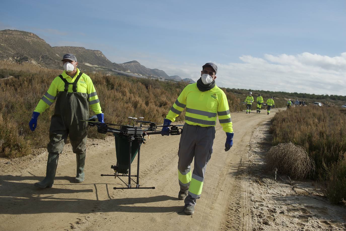 Fotos: La subida de las temperaturas adelanta un mes la fumigación antimosquitos en Murcia