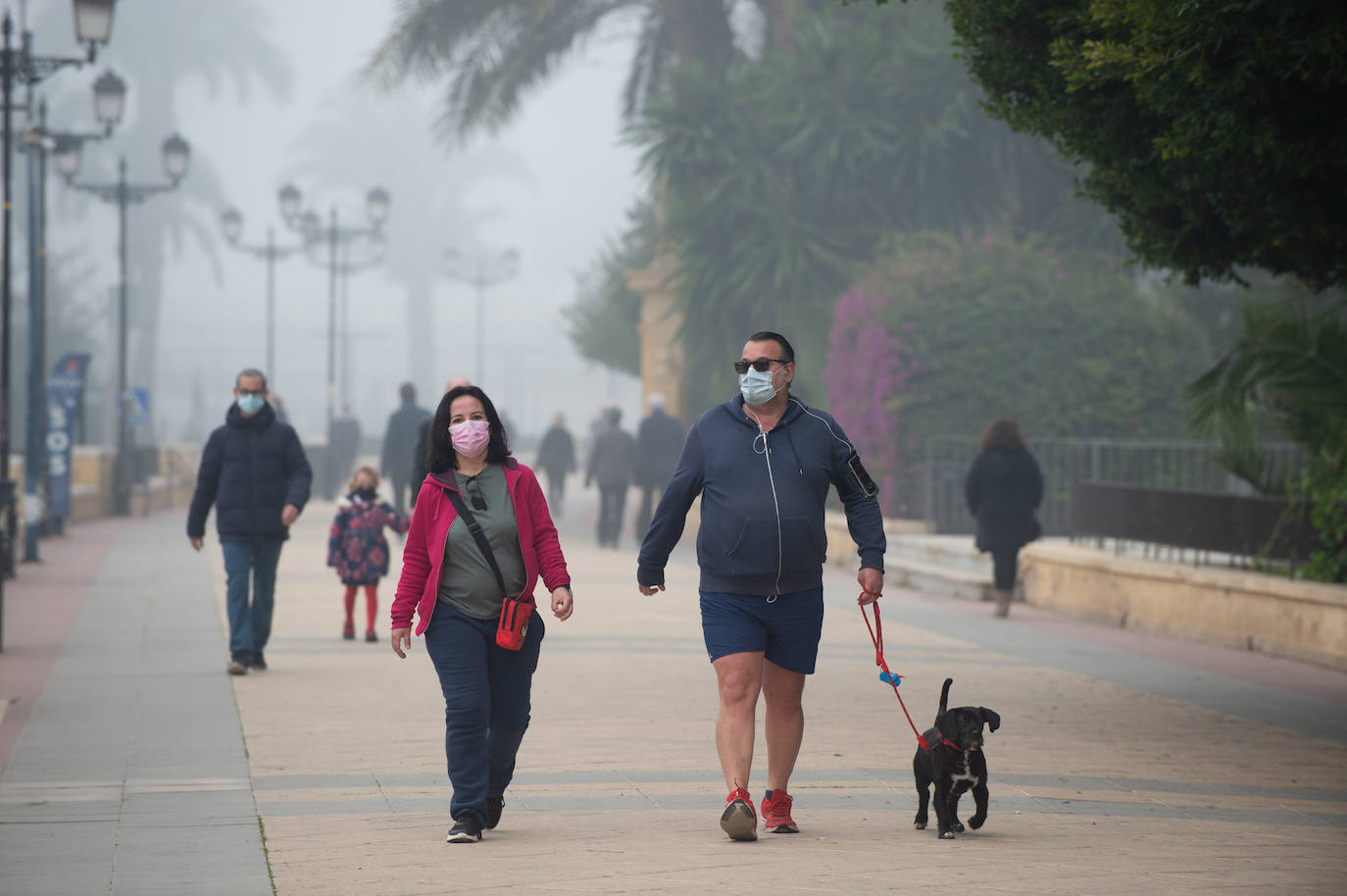 Fotos: Murcia amanece cubierta de niebla