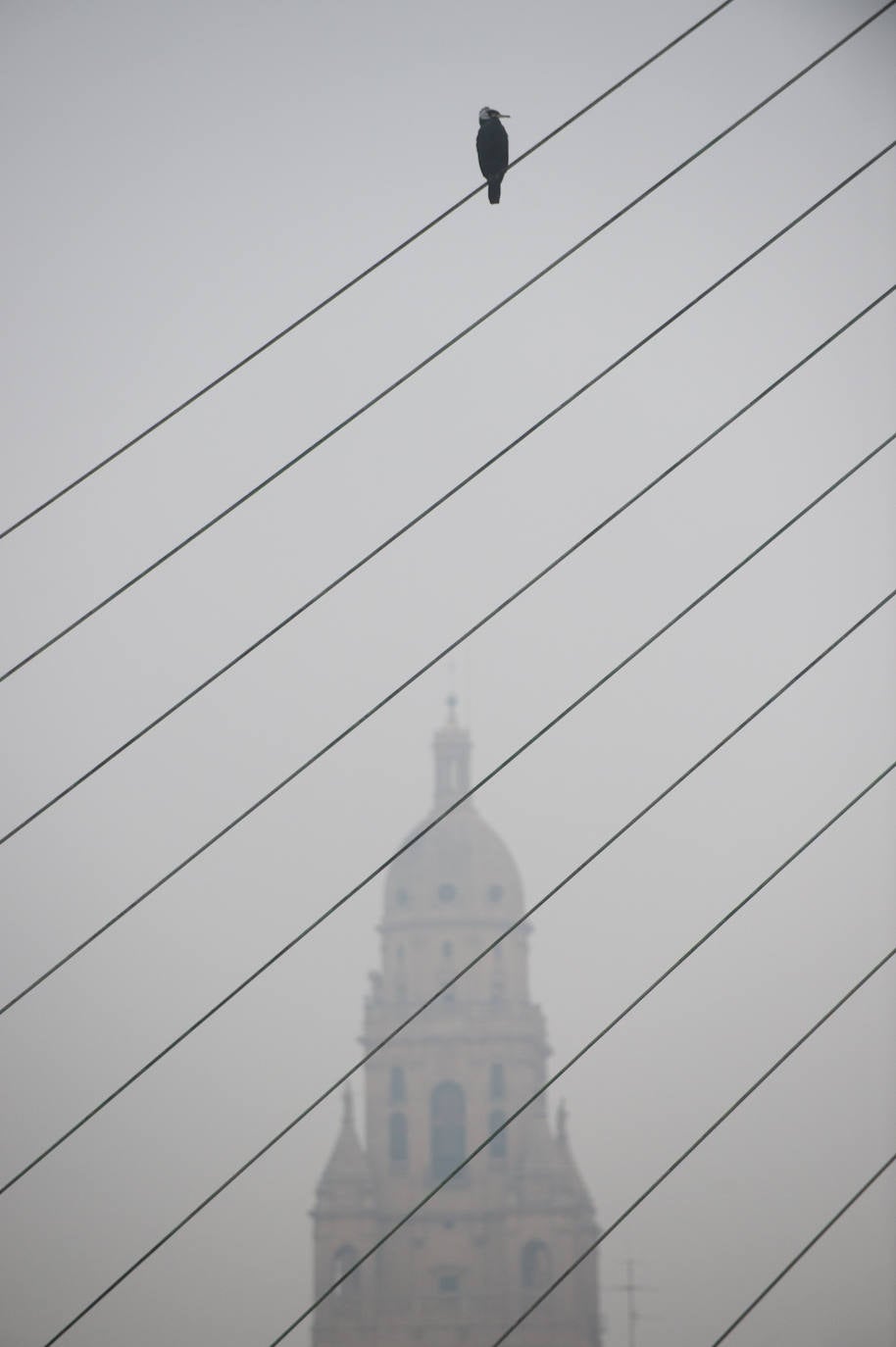 Fotos: Murcia amanece cubierta de niebla