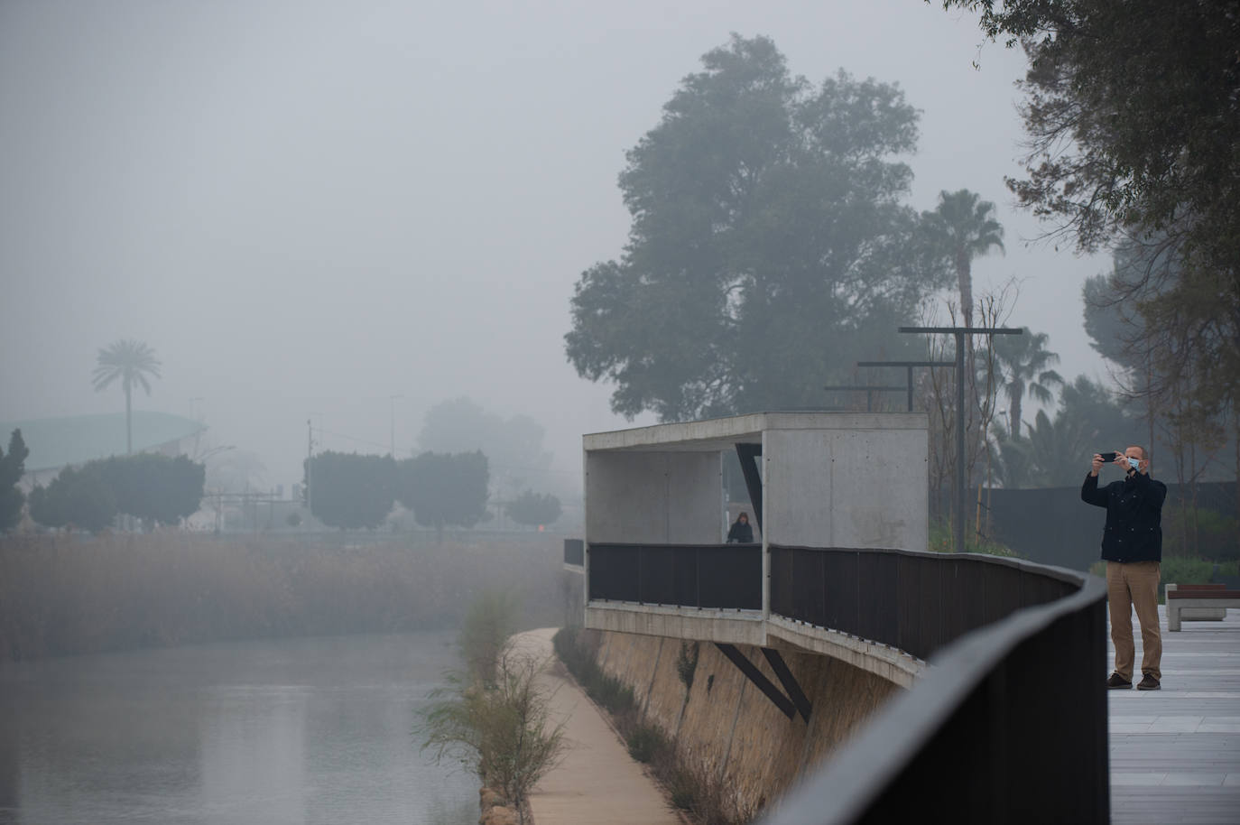 Fotos: Murcia amanece cubierta de niebla