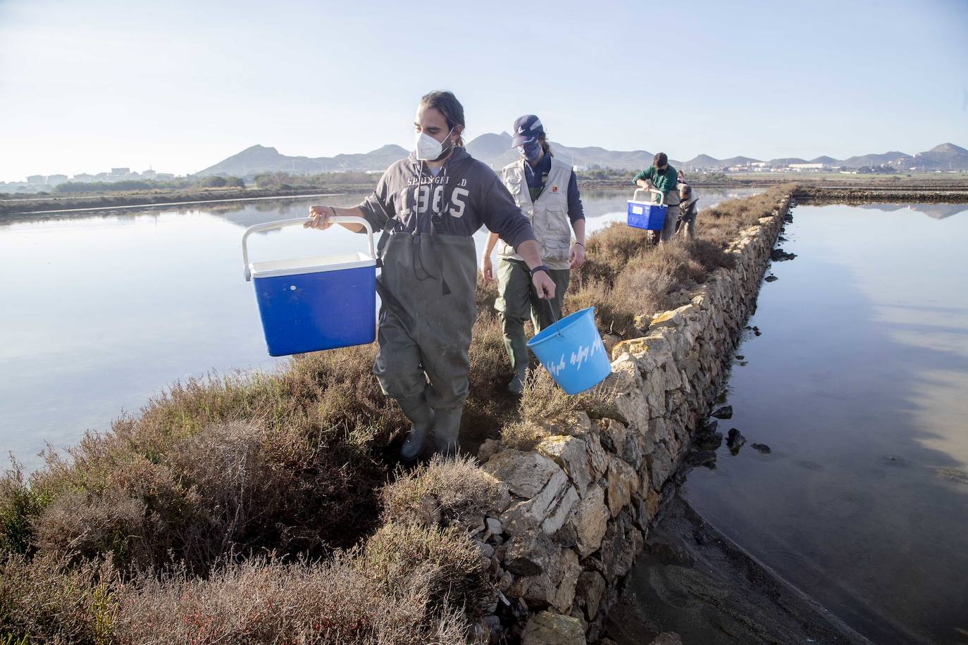 Fotos: 2.000 fartets viajan de La Manga a Calblanque