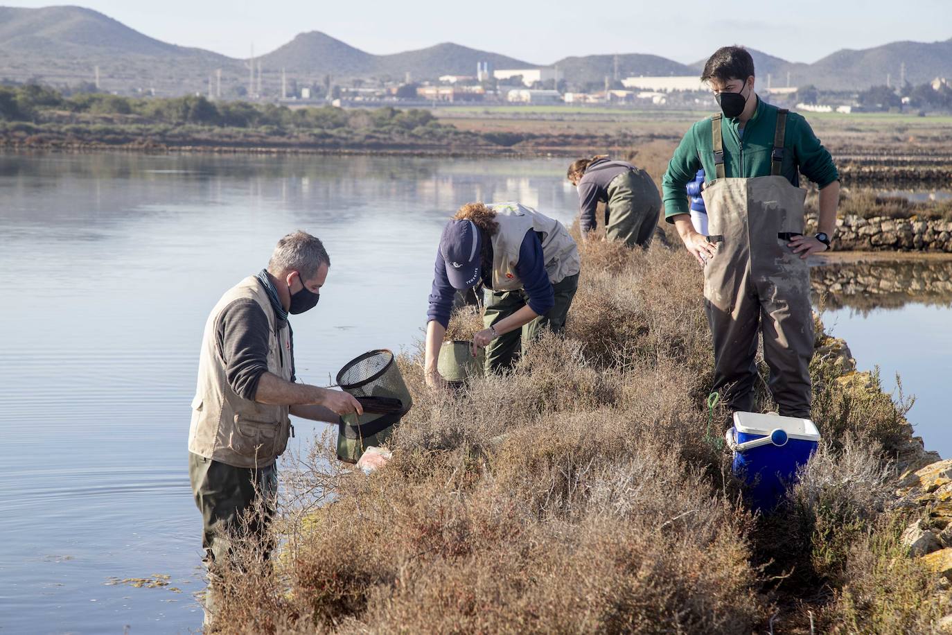 Fotos: 2.000 fartets viajan de La Manga a Calblanque