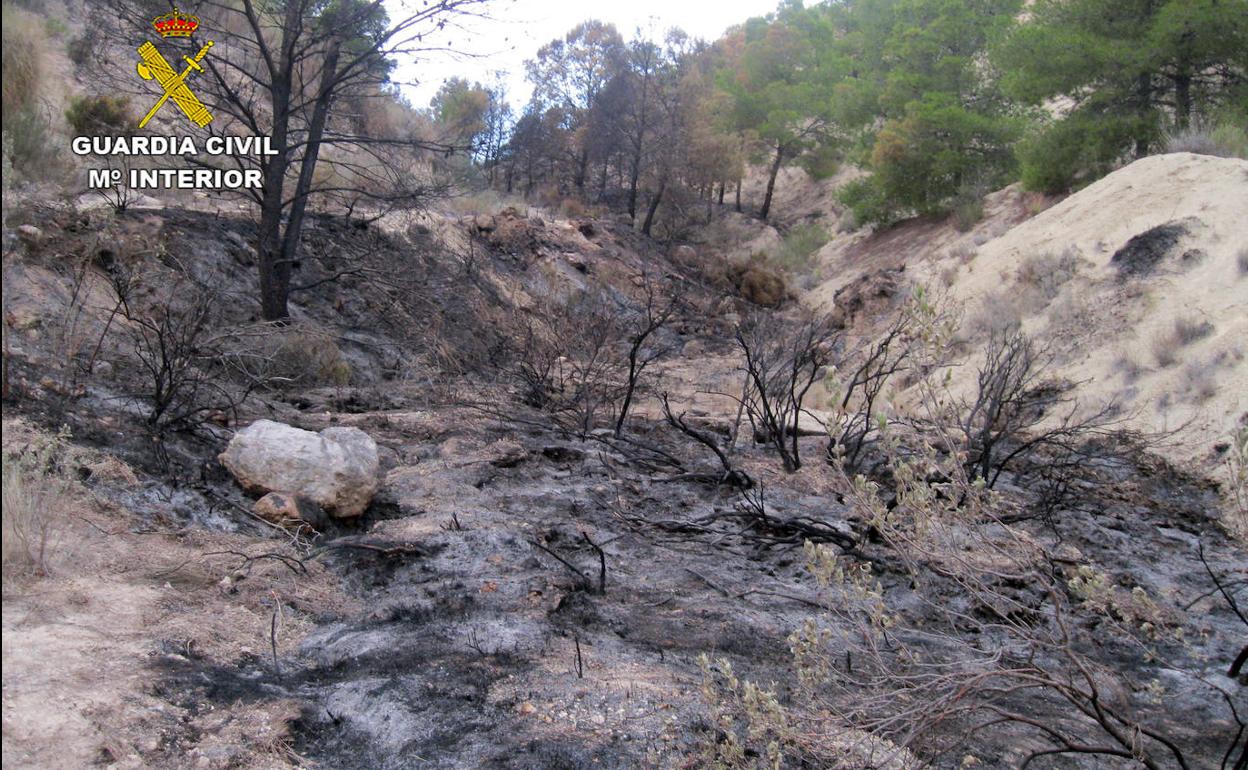 Estado de la zona afectada tras el incendio.