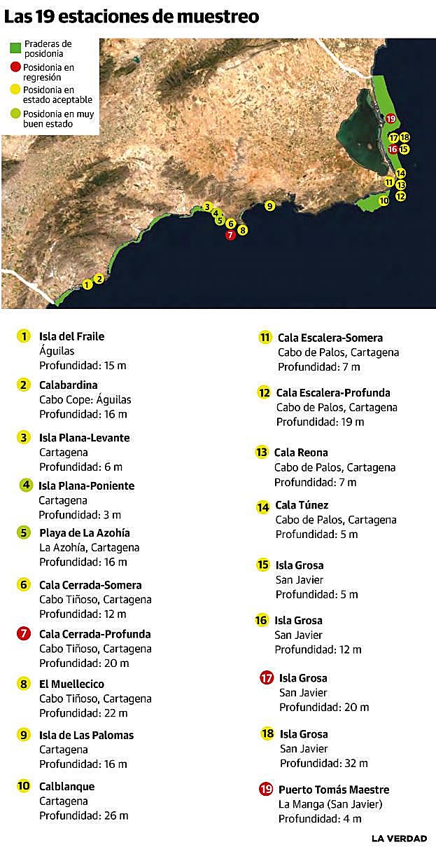 Situación de las 19 estaciones de control de las praderas de posidonia.