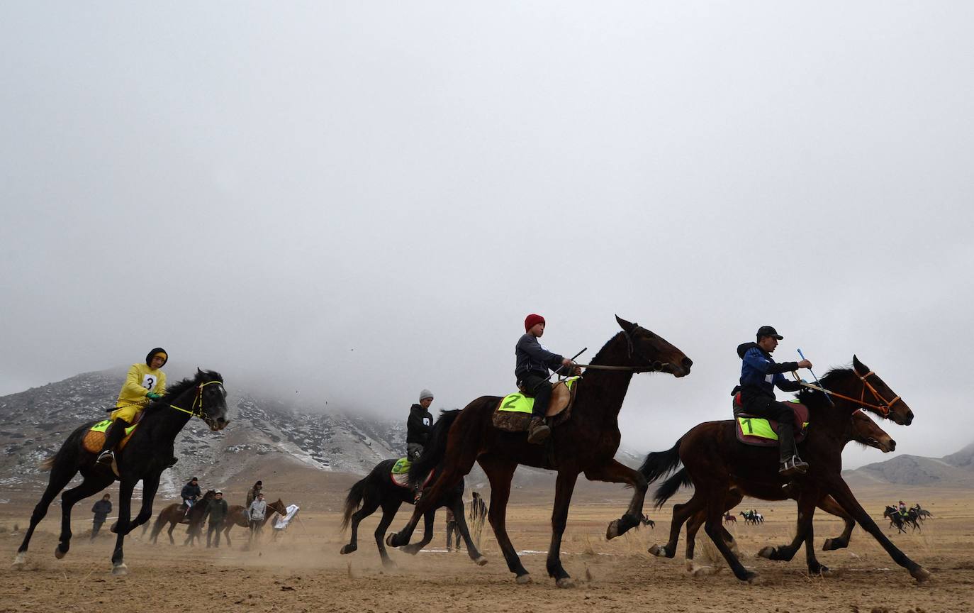 Fotos: Un águila real en busca de su presa