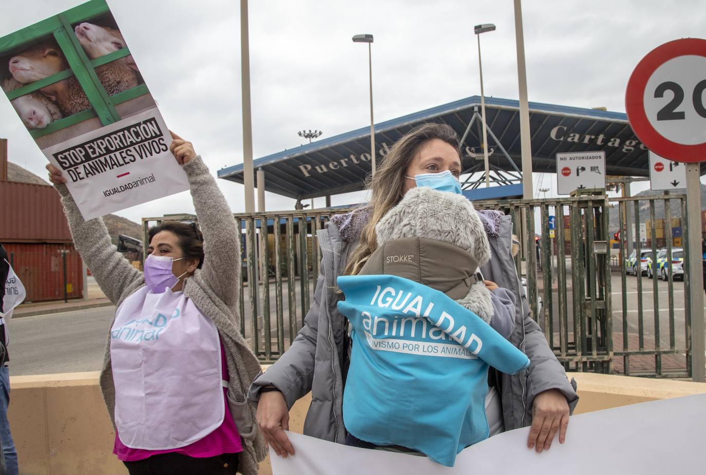 Fotos: Representantes vecinales se concentran en el paso a nivel de Los Mateos para exigir su eliminación