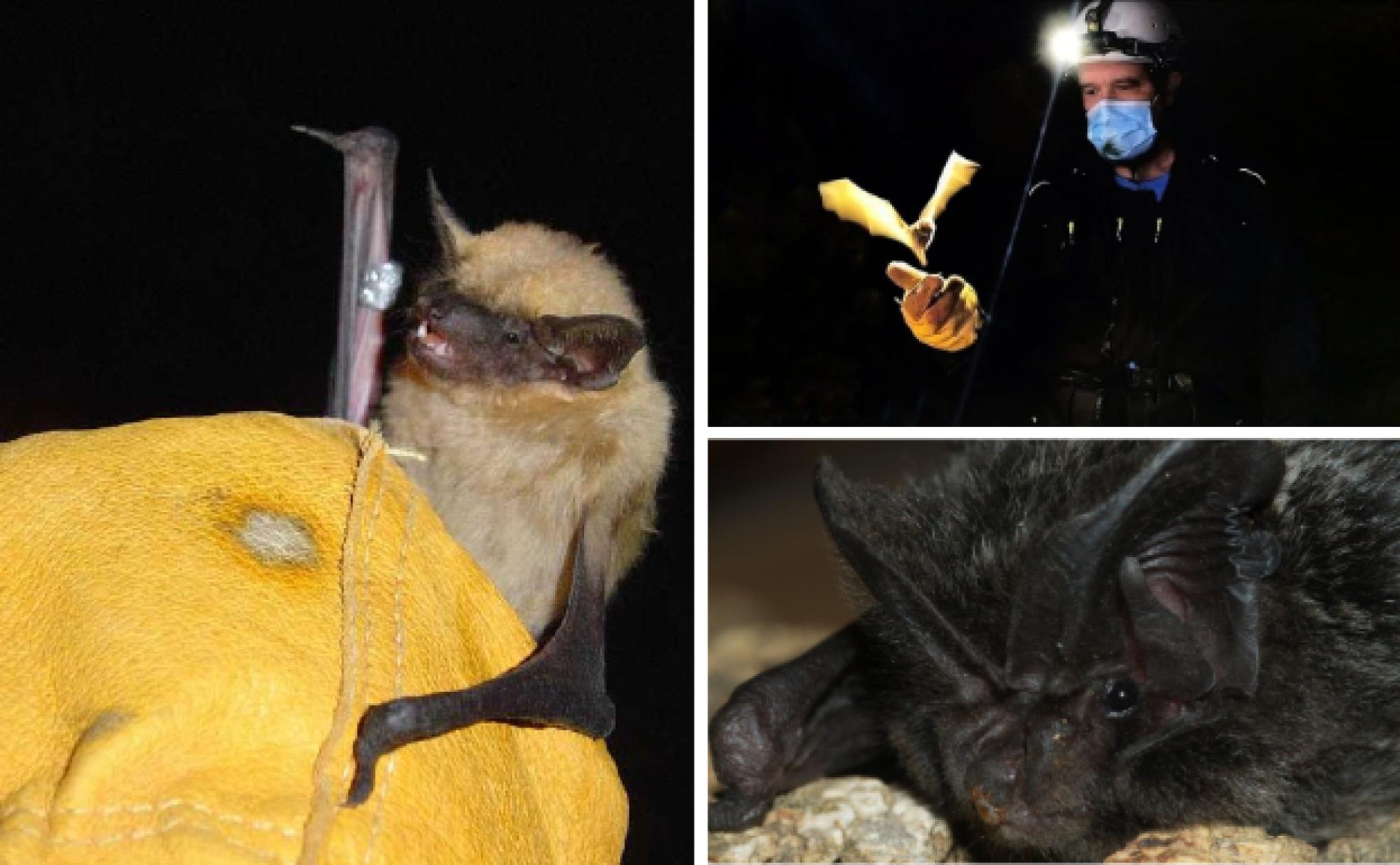 El superhéroe nocturno de fama mancillada