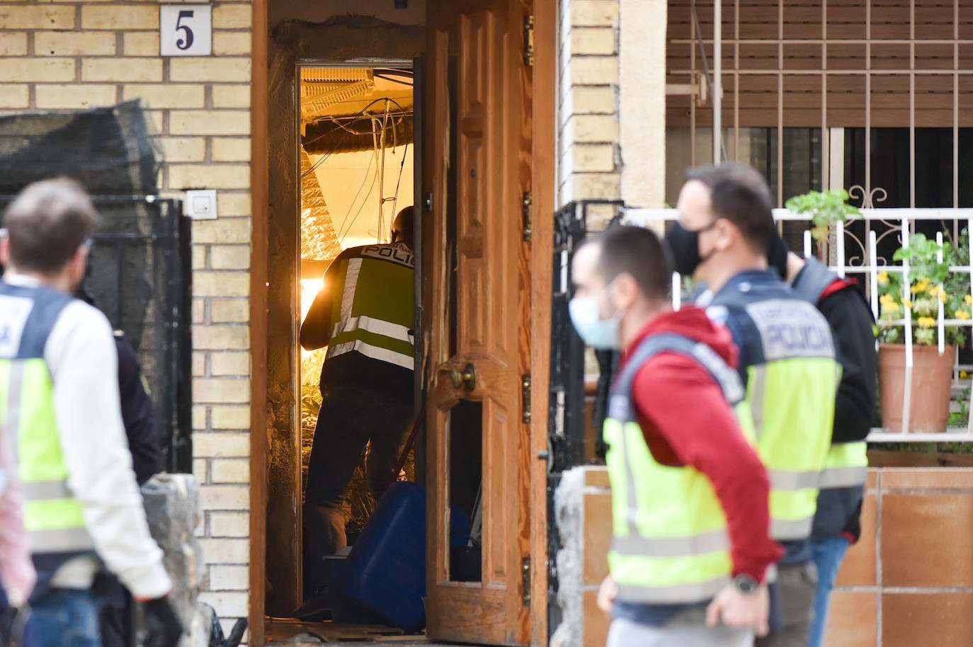 Fotos: Redada en una vivienda de Los Rosales culmina con la incautación de 200 plantas de marihuana