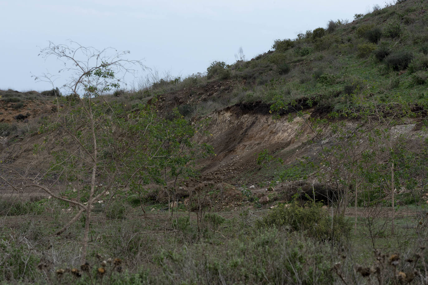 Fotos: Cultura investiga si unas roturaciones en Los Camachos afectaron a restos romanos
