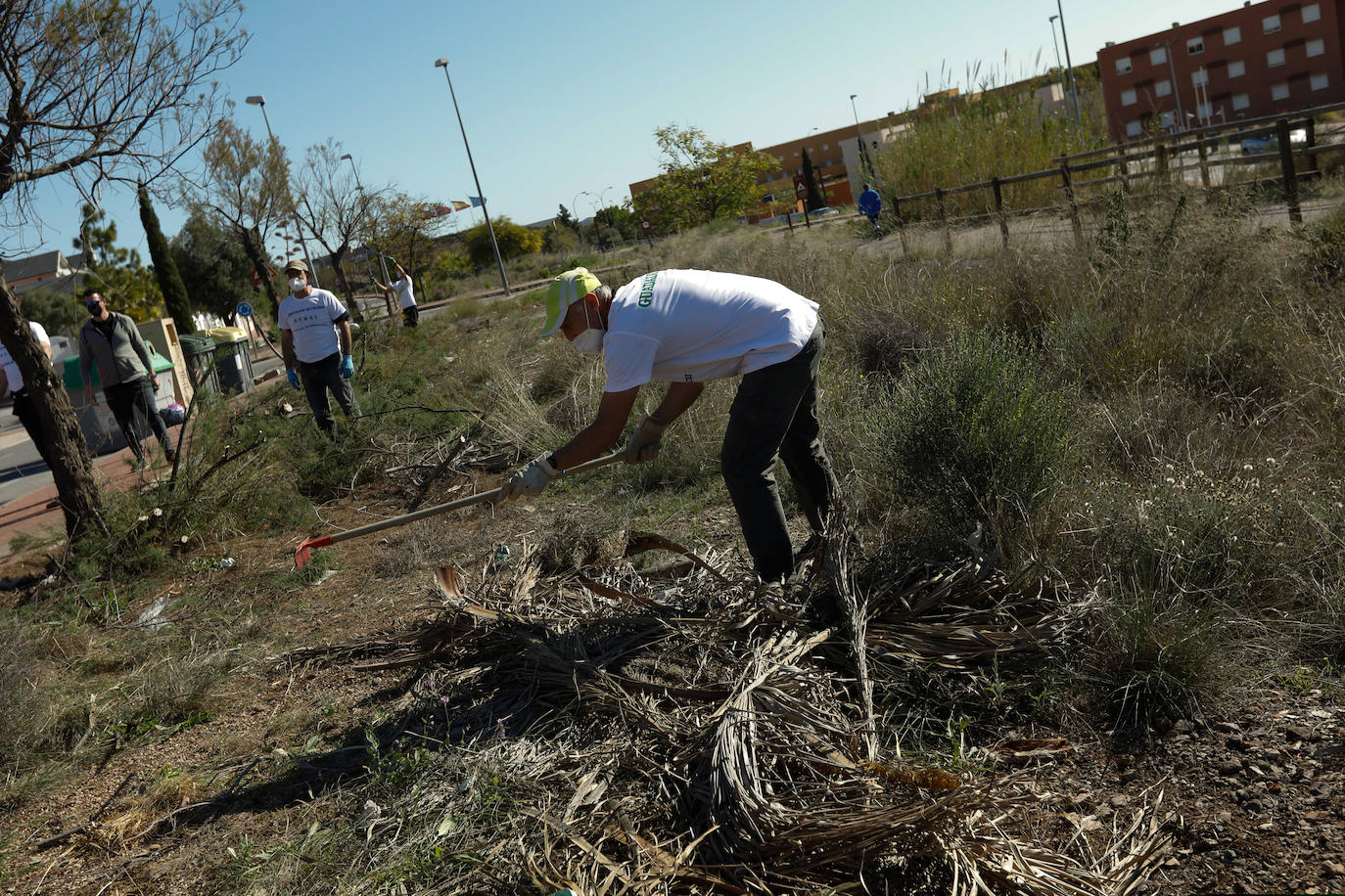 Fotos: Manos a la obra ante el «abandono del Ayuntamiento de Murcia»