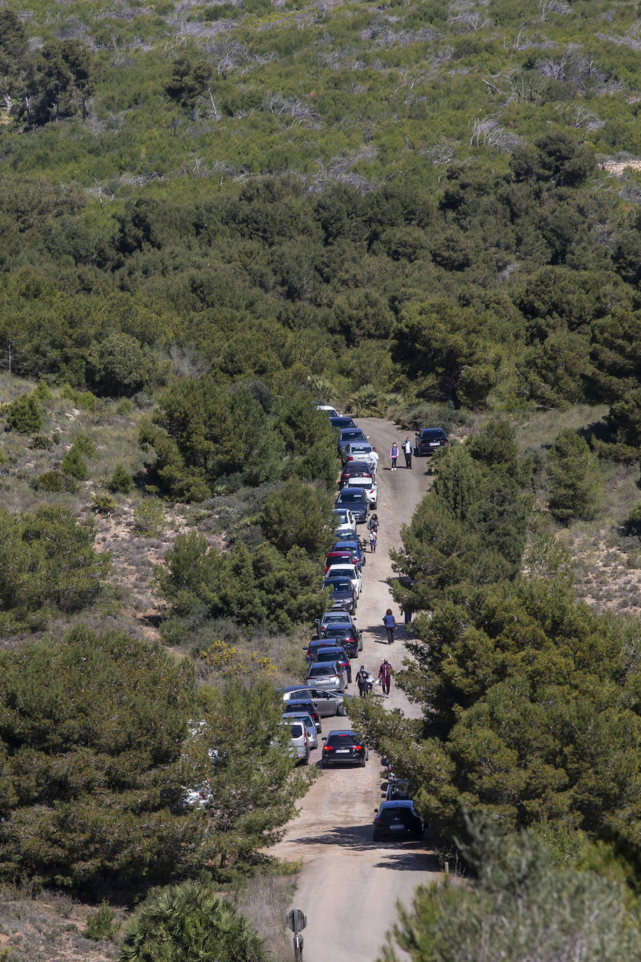 Fotos: Refuerzan la vigilancia en los montes de Cartagena ante el aumento de senderistas