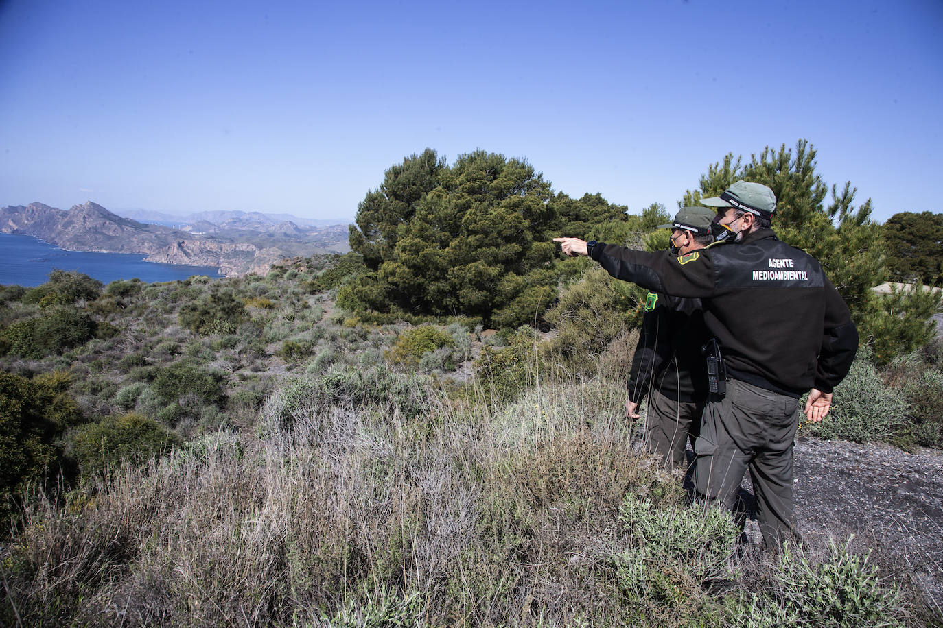 Fotos: Refuerzan la vigilancia en los montes de Cartagena ante el aumento de senderistas