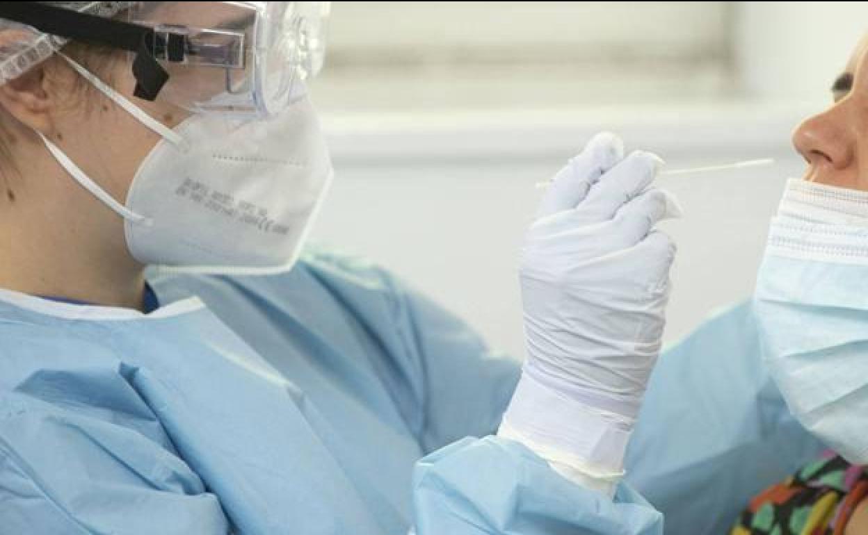 Un sanitario realiza una prueba PCR, en una fotografía de archivo.