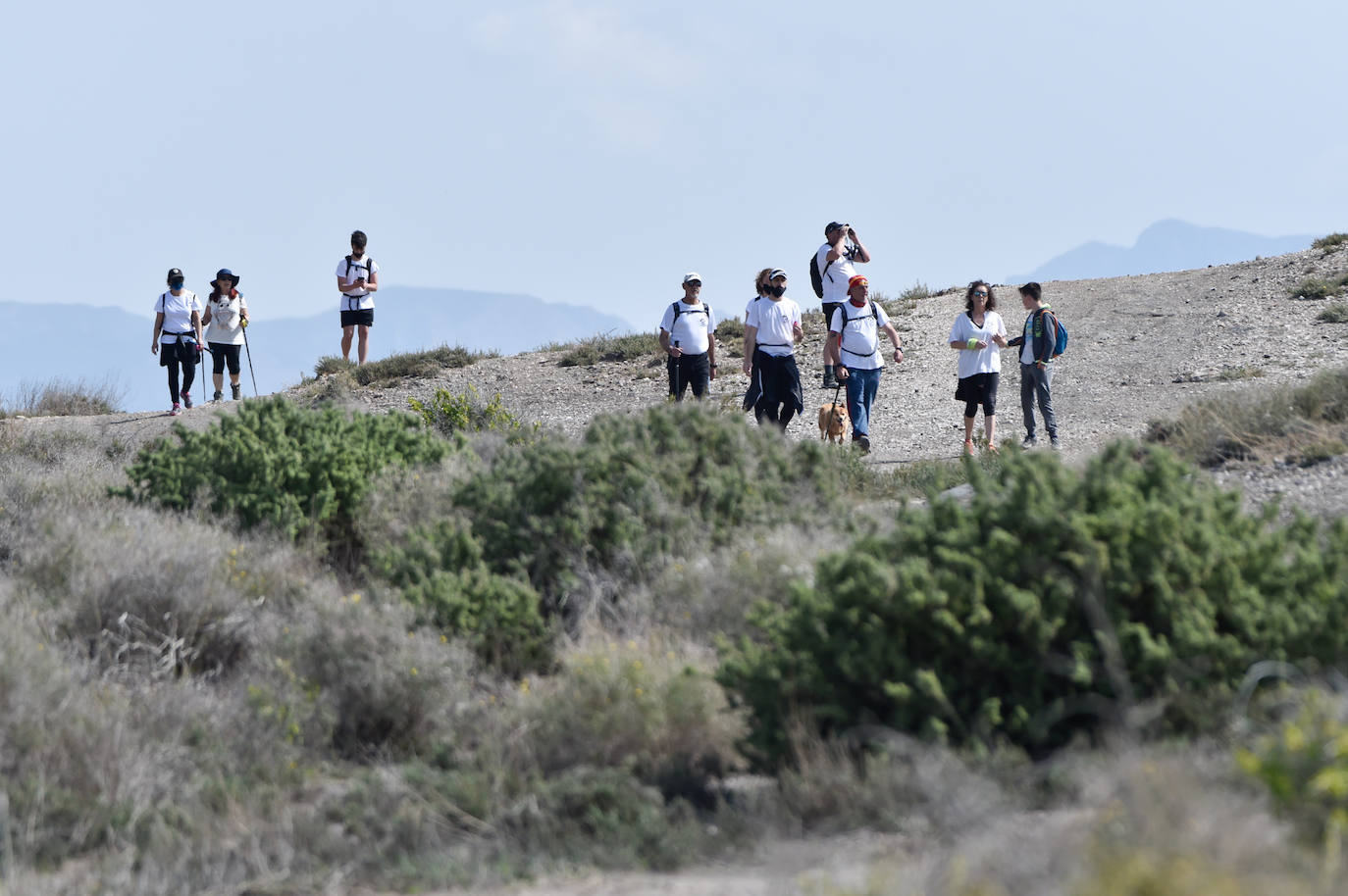 Fotos: Labores de búsqueda de nueve inmigrantes desaparecidos al hundirse una patera en Mazarrón