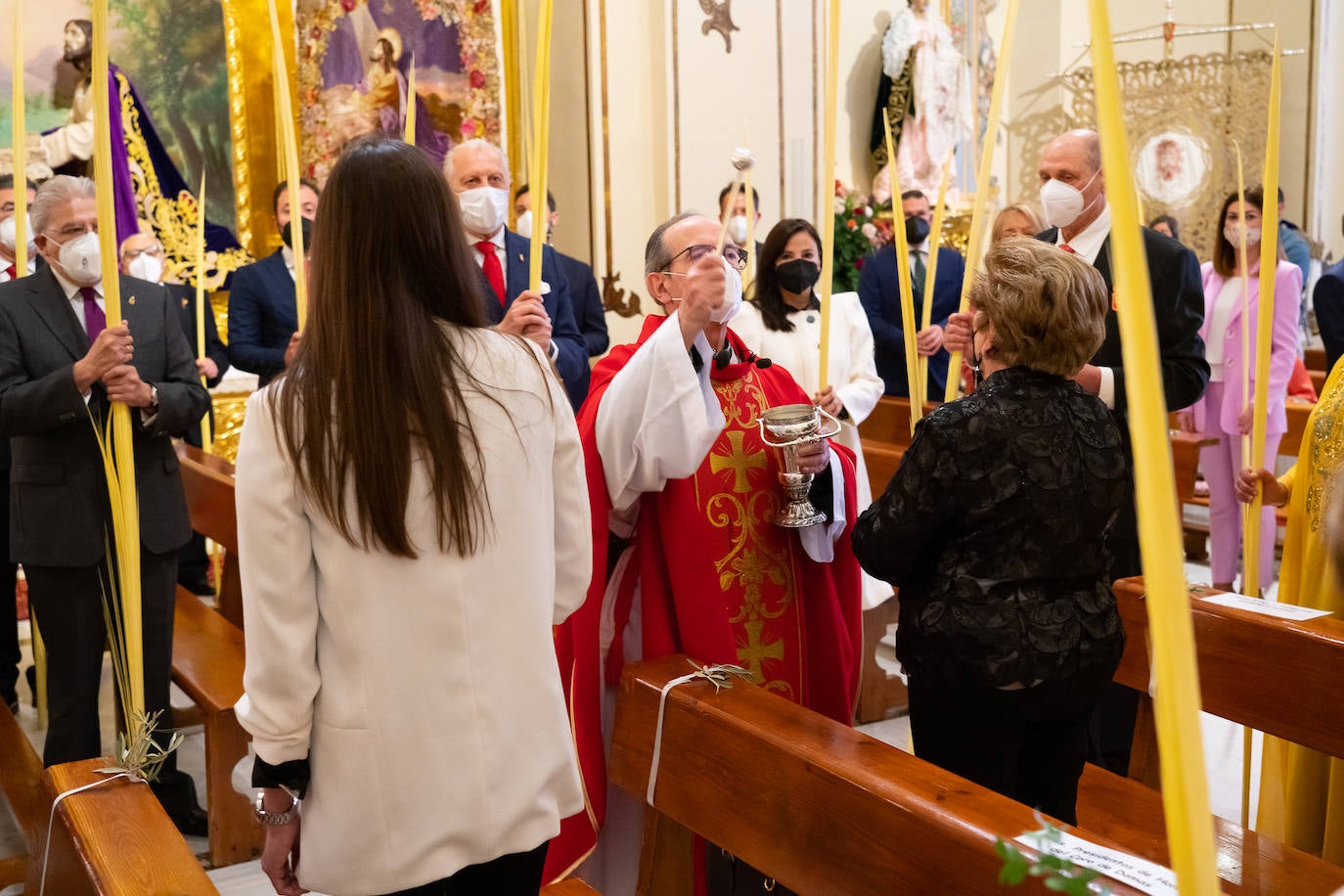 Fotos: Palmas y ramas de olivo para San Juan el Domingo de Ramos