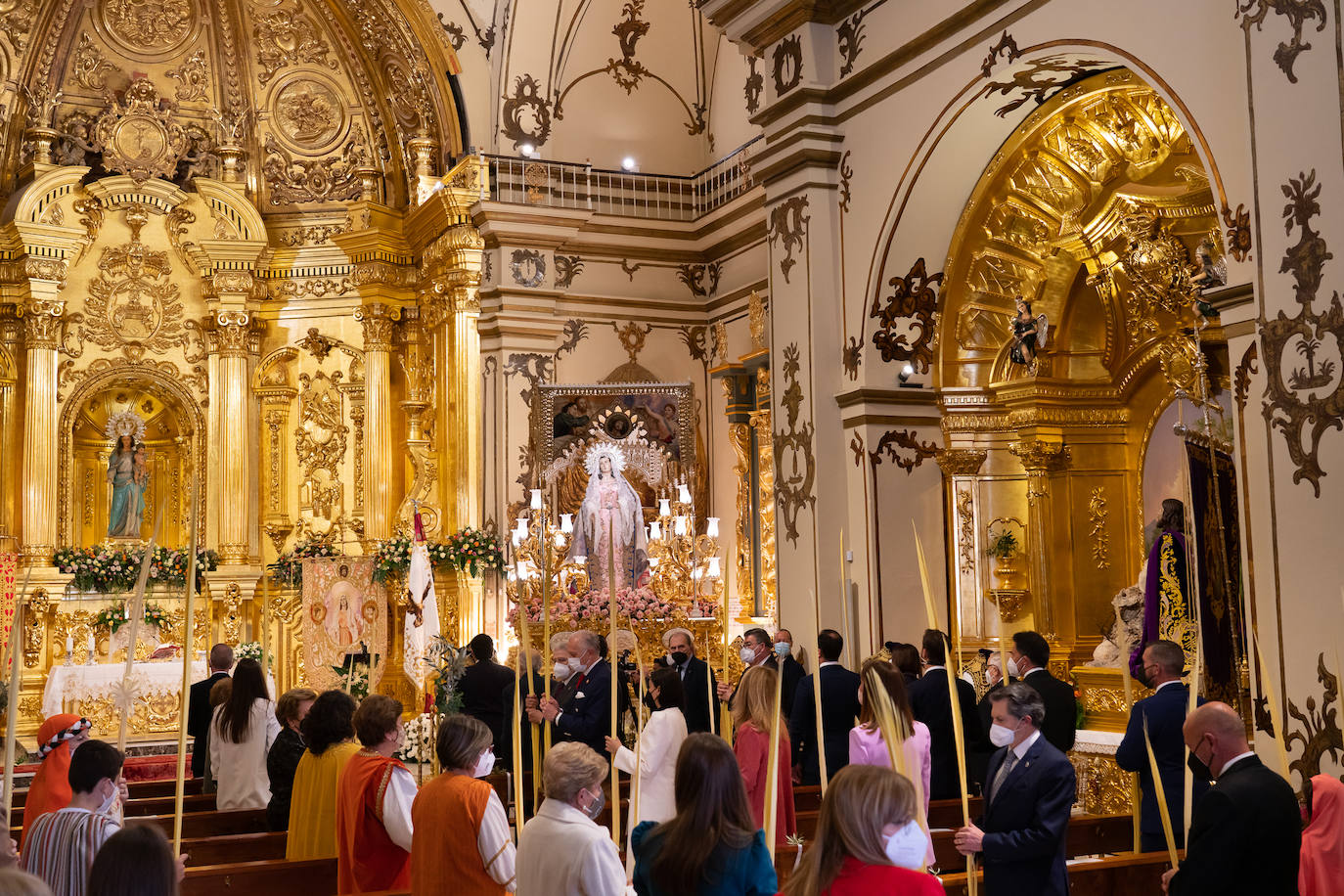 Fotos: Palmas y ramas de olivo para San Juan el Domingo de Ramos