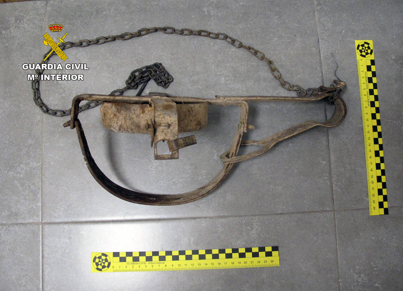 El cepo que atrapó a uno de los perros.