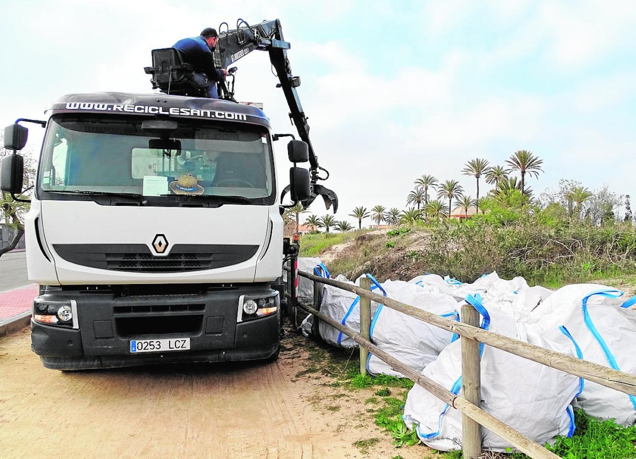 Retirada de material vegetal en el lugar de la actuación, el pasado día 24 de marzo. 