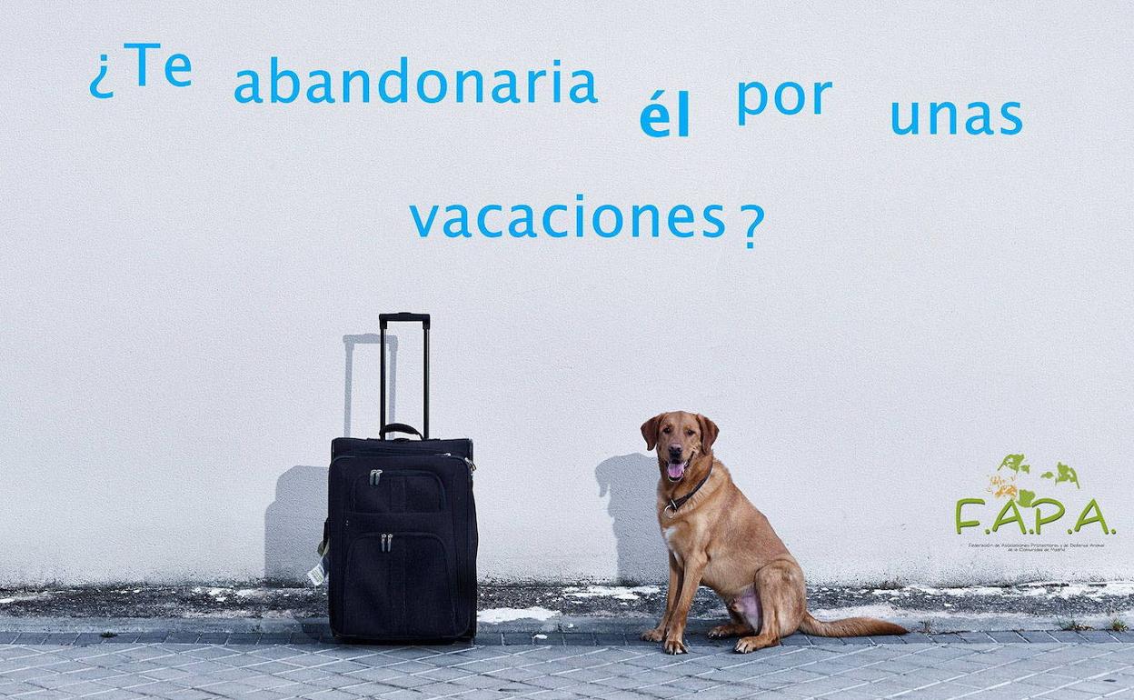 Imagen de la campaña de la Federación de las Asociaciones de Protección Animal de la Comunidad de Madrid para la sensibilización sobre el abandono de animales en verano.