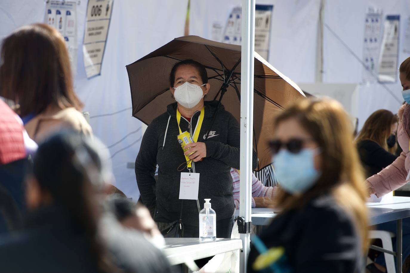 Fotos: Unos 12.000 ecuatorianos votan en la Región a su presidente