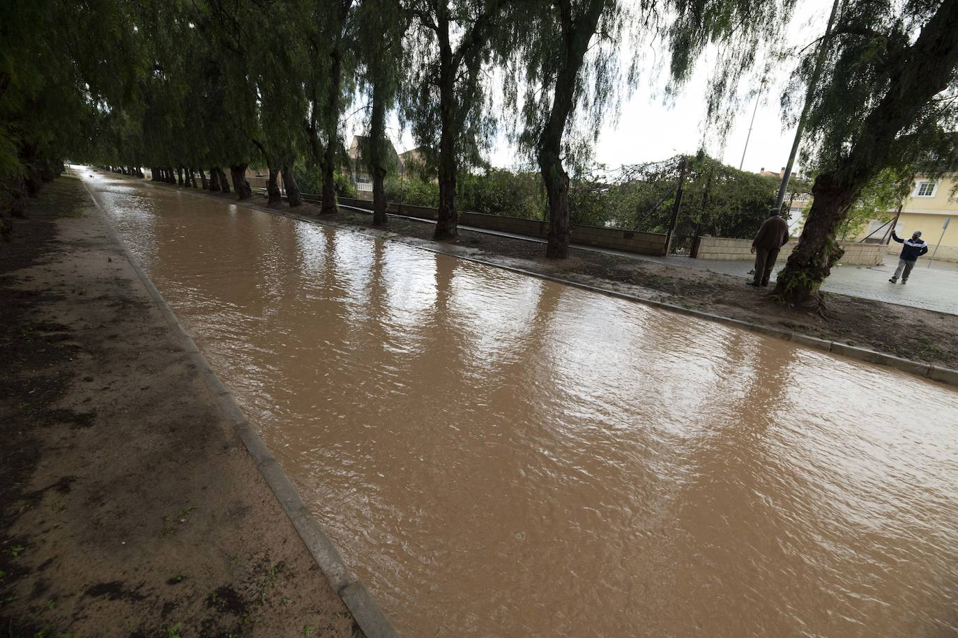 Fotos: Calles anegadas por la lluvia en la diputación cartagenera de La Aljorra