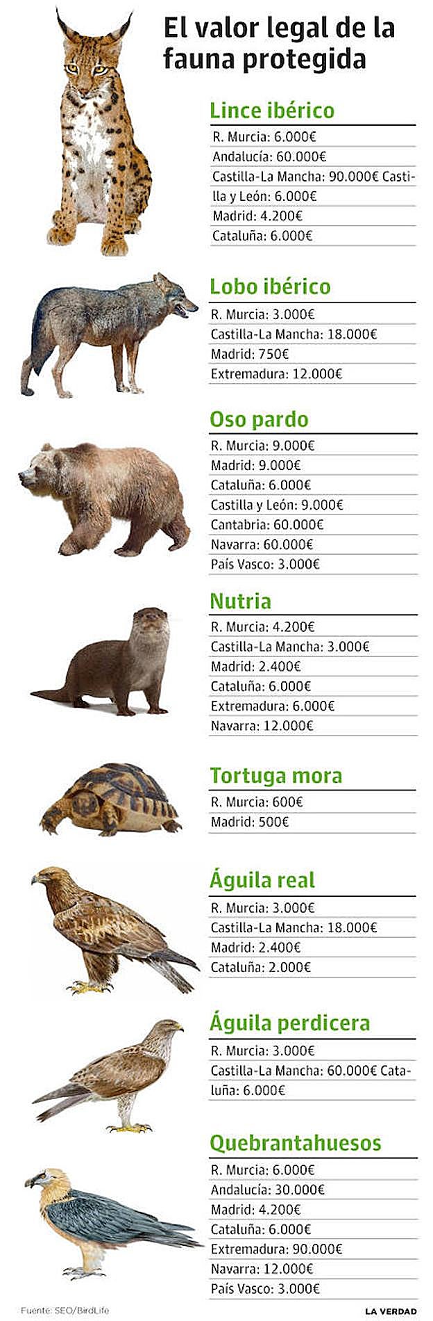 Algunos ejemplos de valoración de fauna protegida.